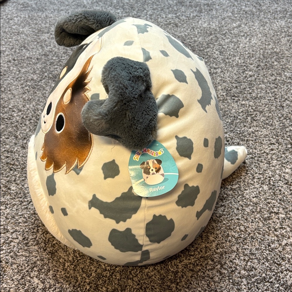 Squishmallows- Raylor - Picture 3 of 6